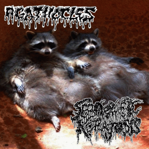 Agathocles : Agathocles - Seborrheic Keratosis